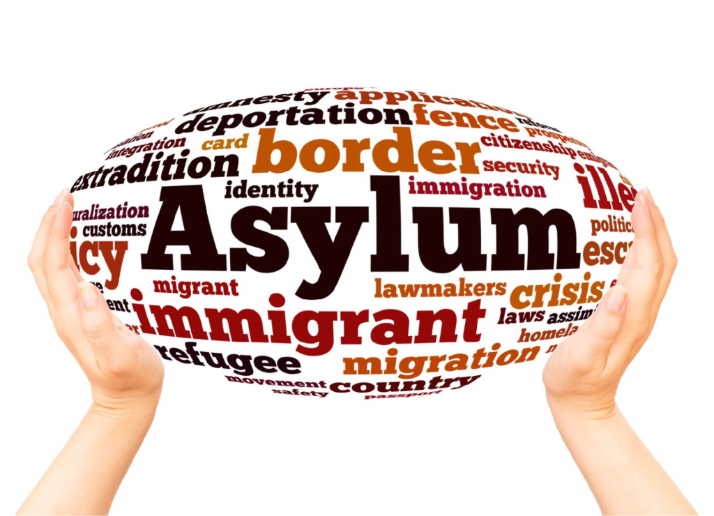 Spherical word cloud featuring asylum terms on a white background