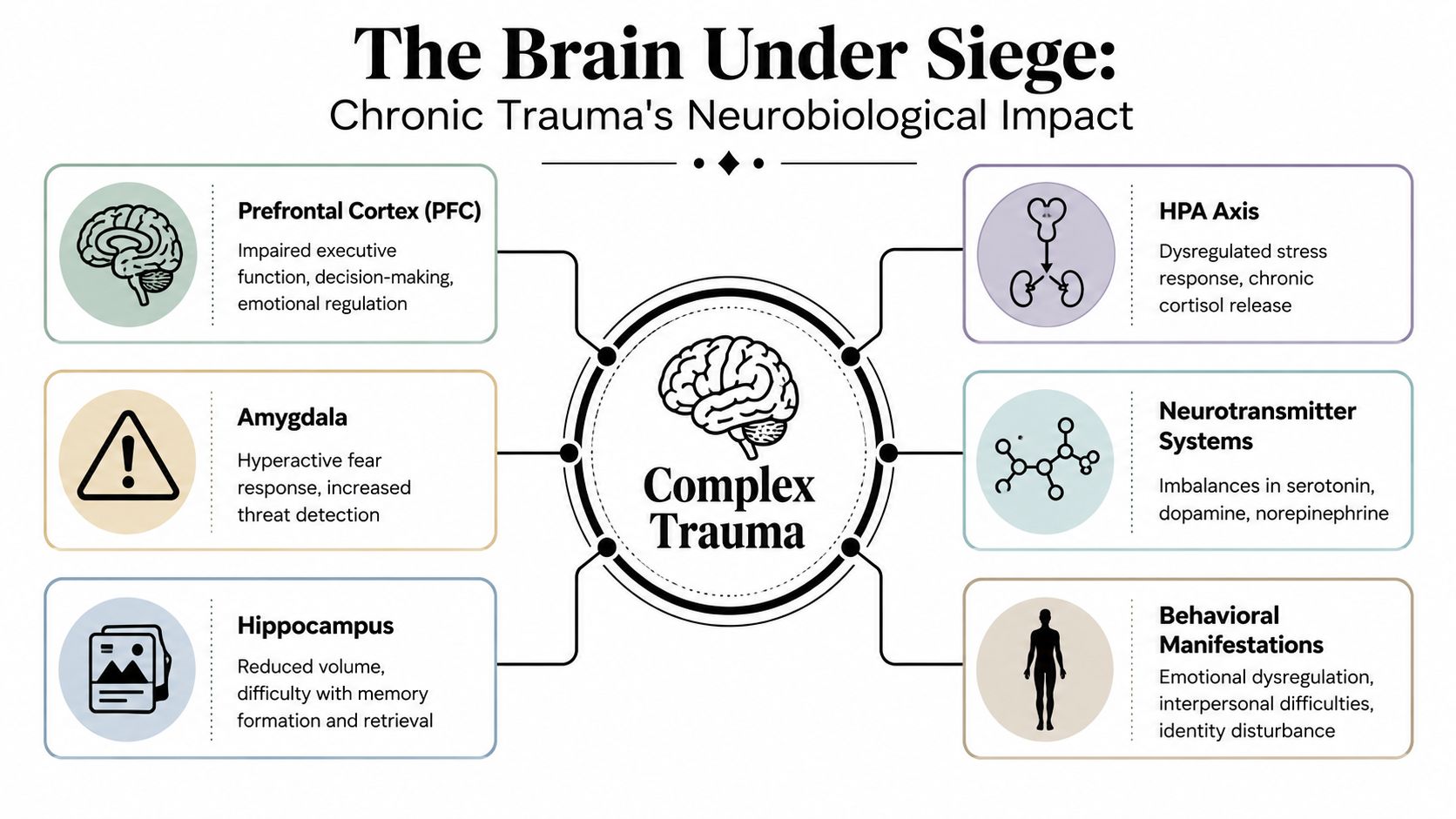 An infographic titled The Brain Under Siege showing how complex trauma impacts neurological and behavioral systems.